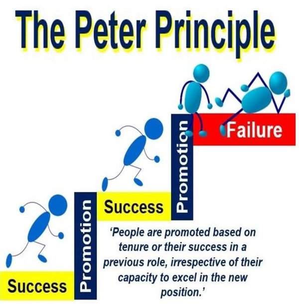 Exploring The Peter Principle | Tuition Agency